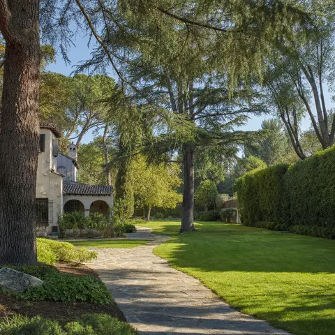 Jardín consolidado de chalet con seto perimetral alto y arbolado adulto