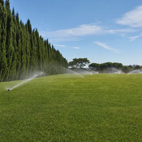 Césped grande y soleado regado por aspersores emergentes